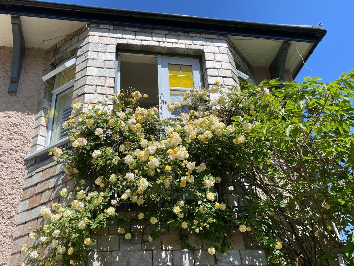 Bradleigh Lodge セント・オーステル エクステリア 写真